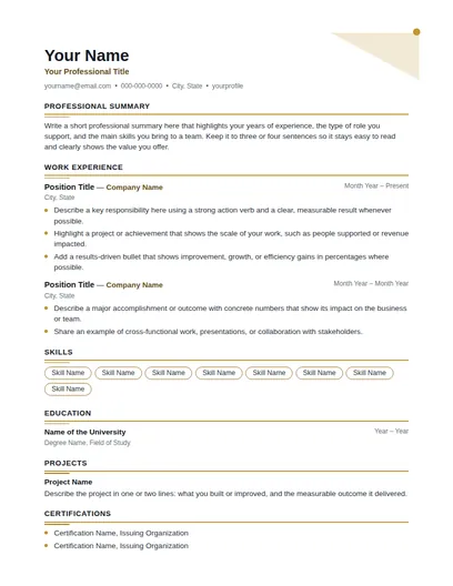 Aleen resume template preview