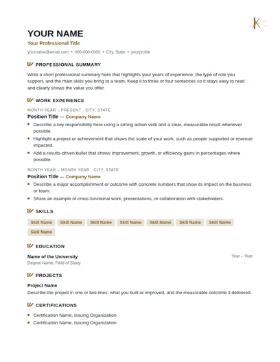 Flint resume template preview
