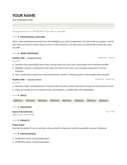 Granger resume template preview