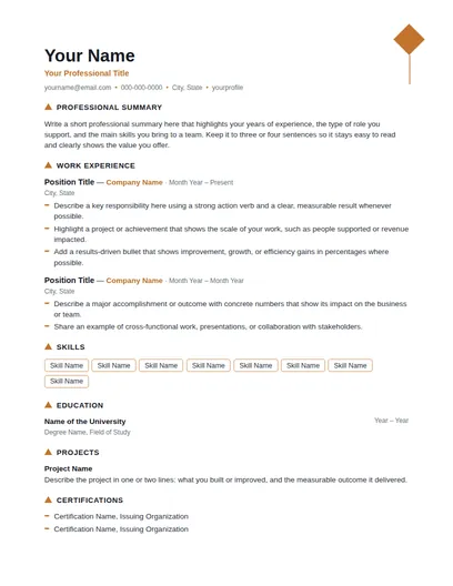 Kite resume template preview