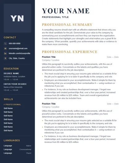 Onyx resume template preview