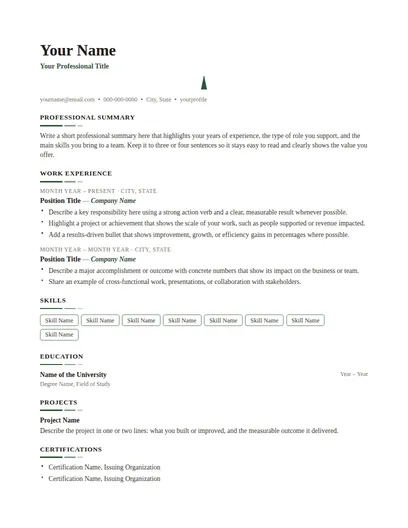 Salisbury resume template preview