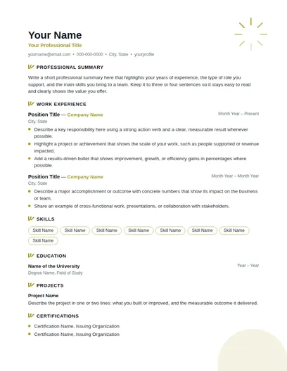 Spark resume template preview