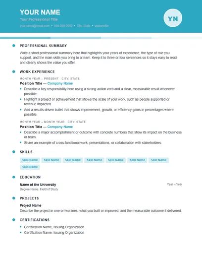 Surge resume template preview