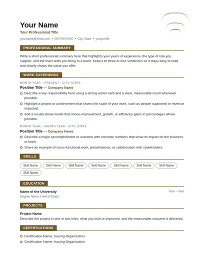 Terra resume template preview