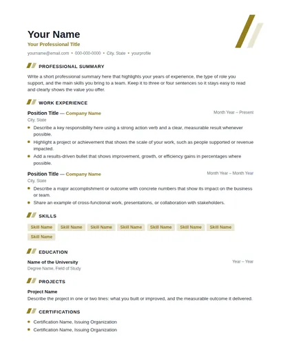 Volt resume template preview